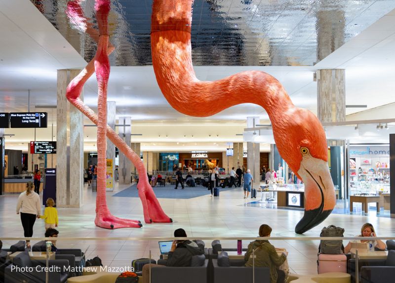 Creating An Underwater HOME For Phoebe The Flamingo at Tampa Airport